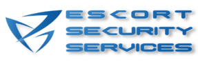logo digital azul